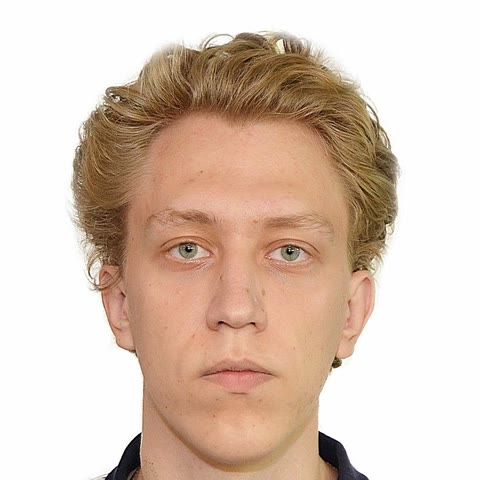 Греков Владимир Сергеевич